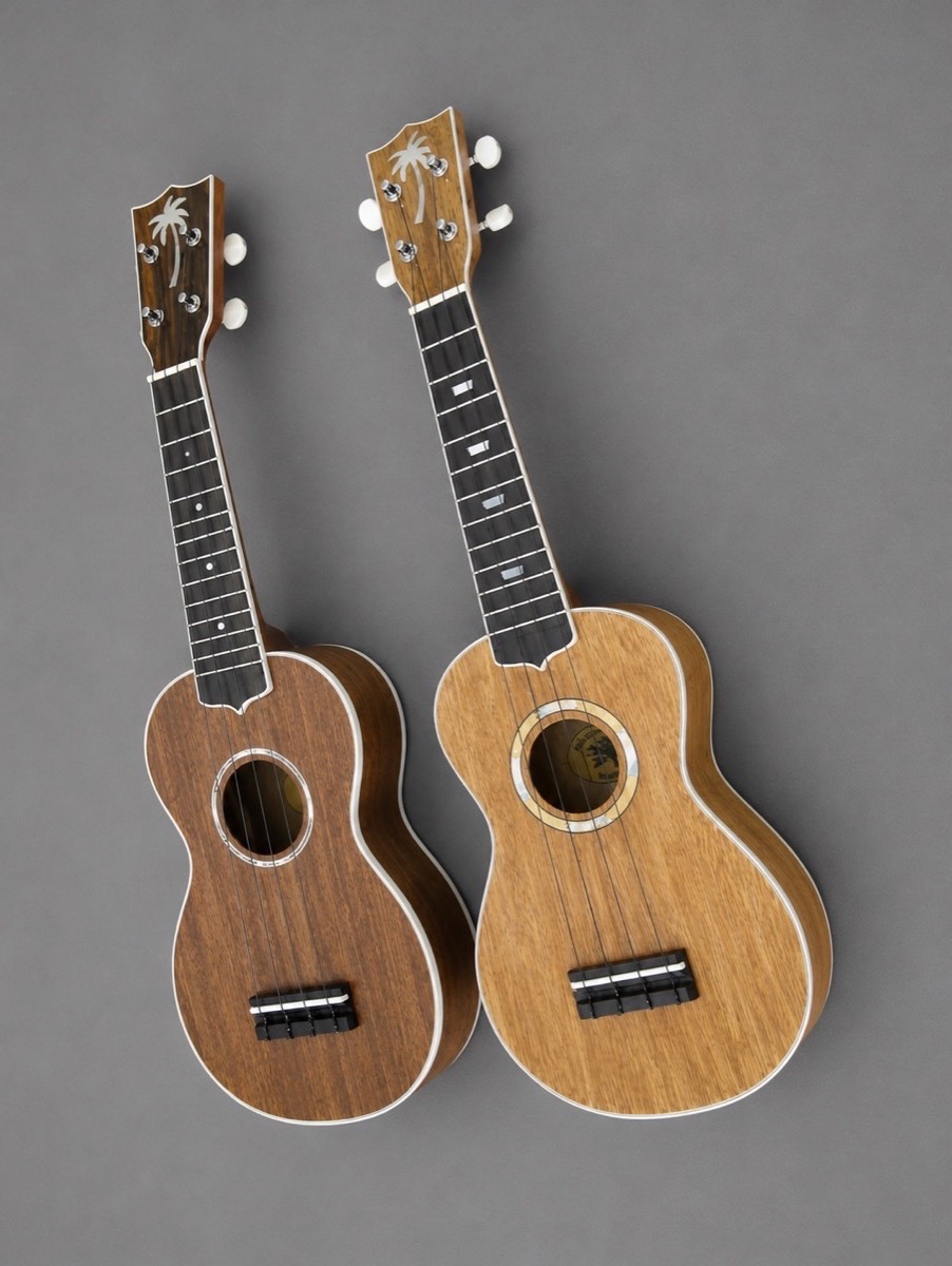 Guitar photo u1